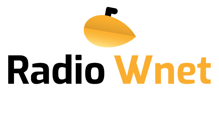  Prezes PANA w Radio Wnet: nie są planowane żadne zmiany, jeżeli chodzi o zakres informacji pozyskiwanych przez audytorów